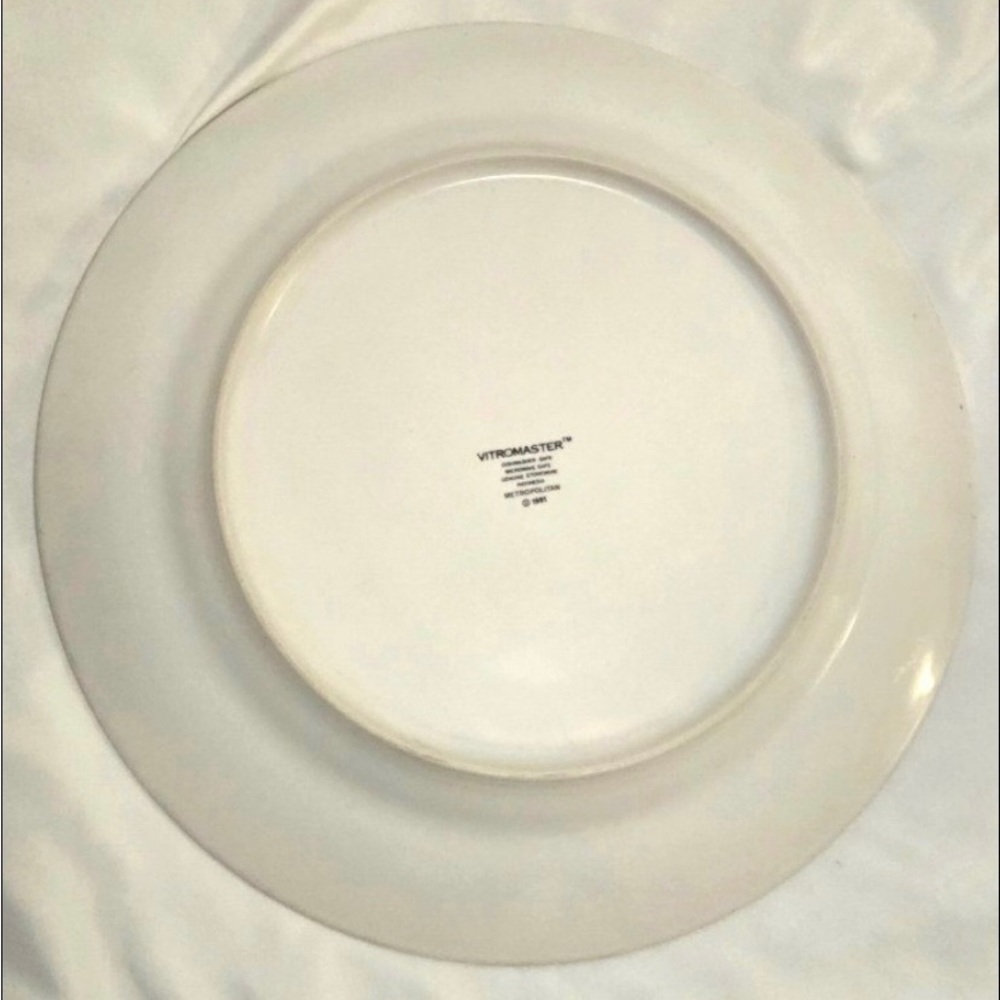 Vitromaster Metropolitan Stoneware Set of 2 Dinner Plates Platers 1991 VGC 12” - Picture 3 of 4